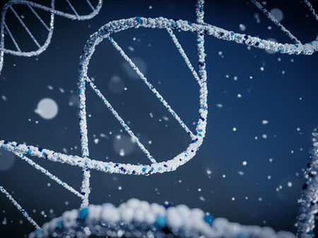Anavex Life Sciences to Present at the Needham Virtual Healthcare Conference