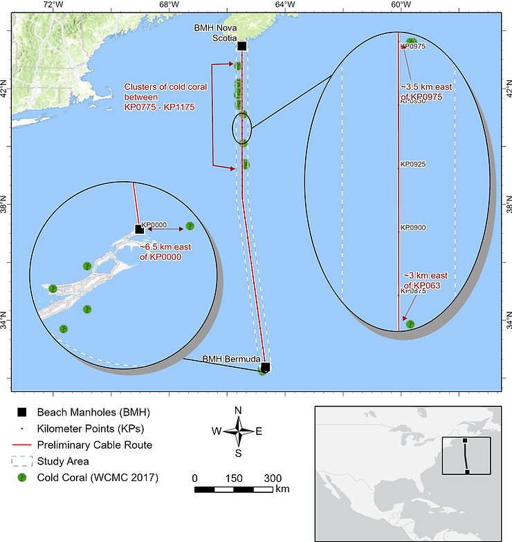 Hazard and Risks Assessment-ColdCoral.png