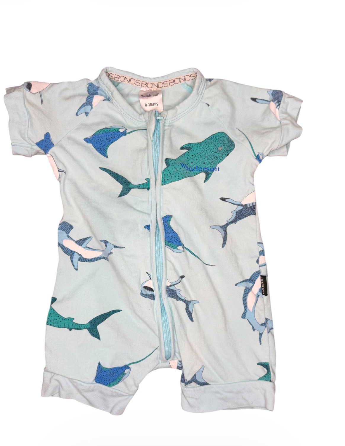 Bonds Shark Print Summer Zippy 