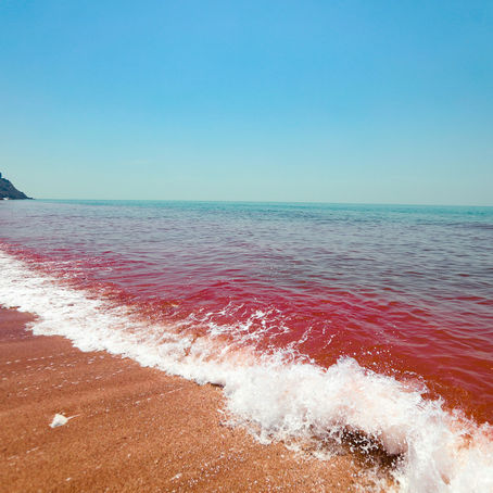 Surfen tijdens je menstruatie: dit is wat werkt (en wat niet)