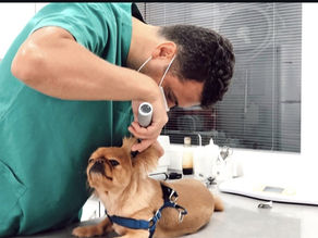 VETERİNER HEKİM MÜMİN TANRIÖVER