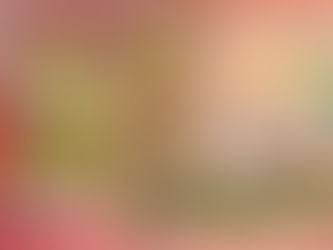 ARDIÇ AĞACI İLE ARDIÇ KUŞUNUN DOSTLUĞU