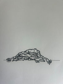 IMG_3890.jpeg