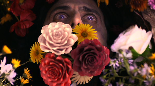El Jardin 2.png