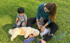 lakepawse-page-header-575x350-pet-assistant-0-300x183