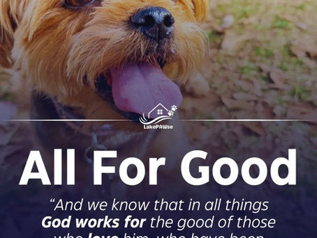 All for Good, all for God
