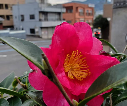 おはようございます