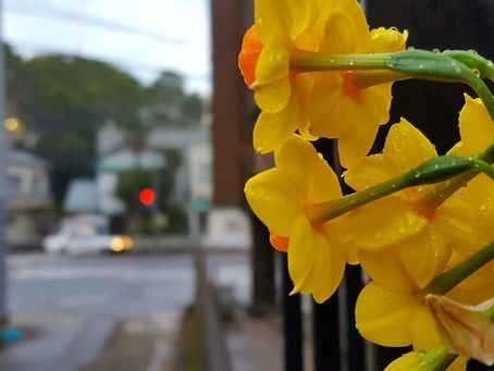 おはようございます。
長崎は雨です。素敵な日曜日をお過ごしください♪☁( ´▽`)😄☁
#おはようございます