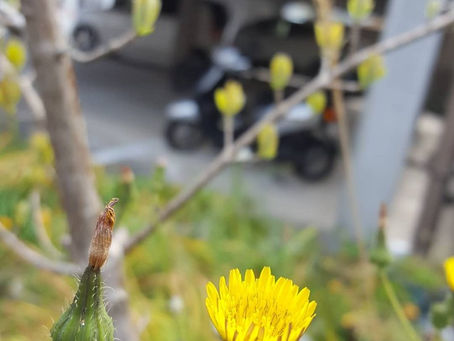 おはようございます。
長崎は晴れです。素敵な金曜日をお過ごしください♪( ´▽`)😄☀