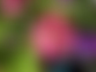 おはようございます