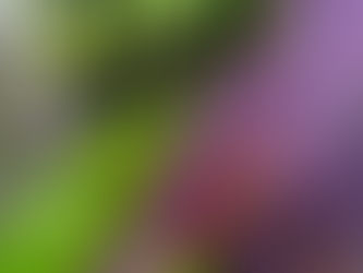 おはようございます