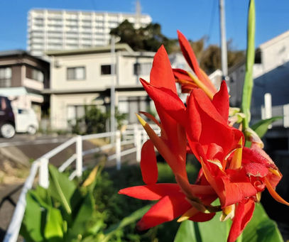 おはようございます