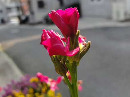 おはようございます