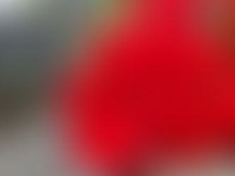 おはようございます