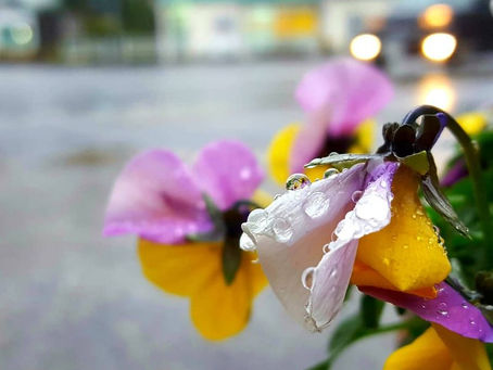 おはようございます。
長崎は雨です。素敵な木曜日をお過ごしください♪//☂//( ´▽`)😄