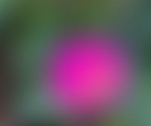 おはようございます