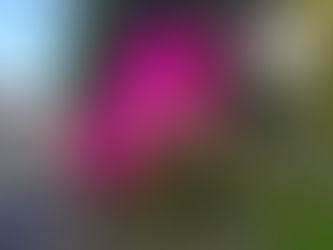 おはようございます。
