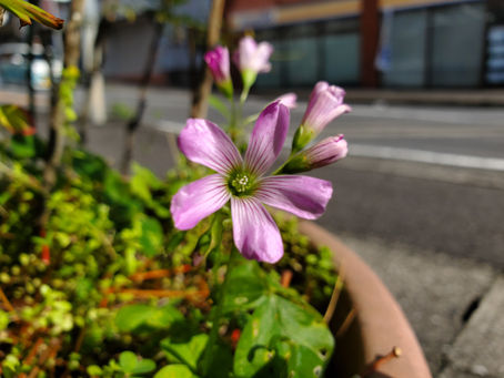 おはようございます