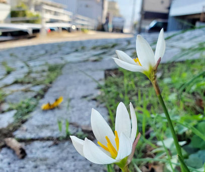 おはようございます