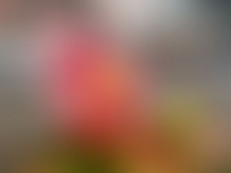 おはようございます