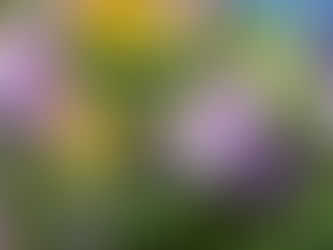 おはようございます。
長崎は曇りです。素敵な木曜日をお過ごしください♪( ´▽`)☁