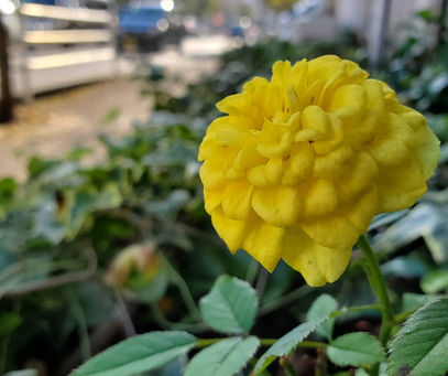 おはようございます