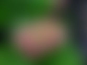 おはようございます。