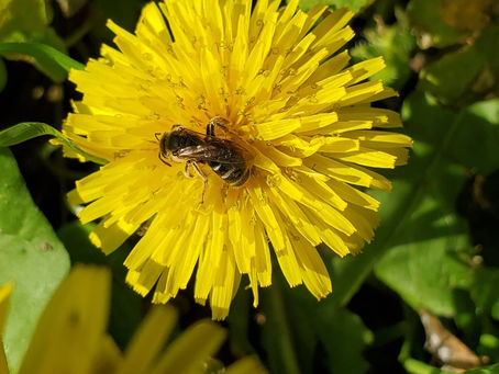 おはようございます🍀