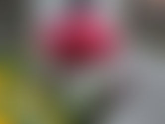 おはようございます