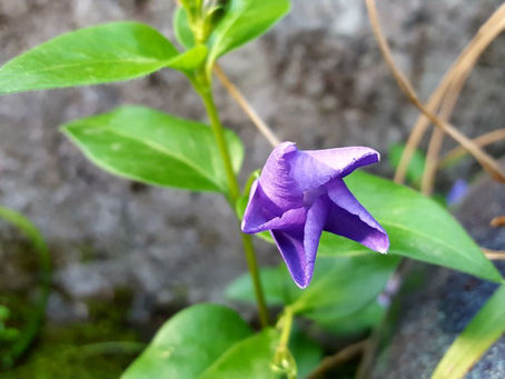 おはようございます。
長崎は晴れです。素敵な金曜日をお過ごしください♪( ´▽`)😄☀