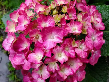 おはようございます