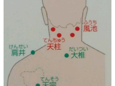 毛髪に良いことpart2