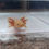 Thumbnail: Oh My Gourd! (4" Copper) Het Hypo