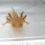 Thumbnail: Pumpkin Spice  (4" Copper w/ High Iridophore Potential)