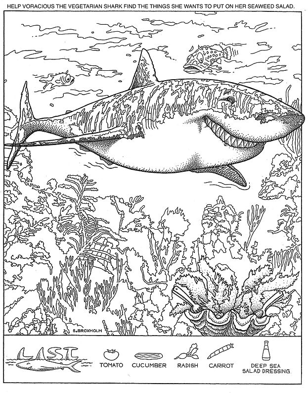Shark Hidden Picture.jpeg