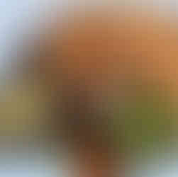 Salmon Maison De Lu Ocean Springs