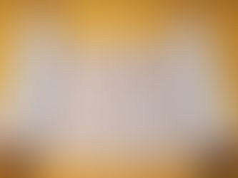 Biblical Commentaries