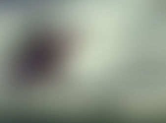 ... and they sang as they slew...