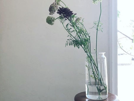 6月8日(土)臨時休業致します