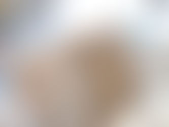 LIBECOのボティミトンが入荷しました