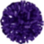 Scoring Pom