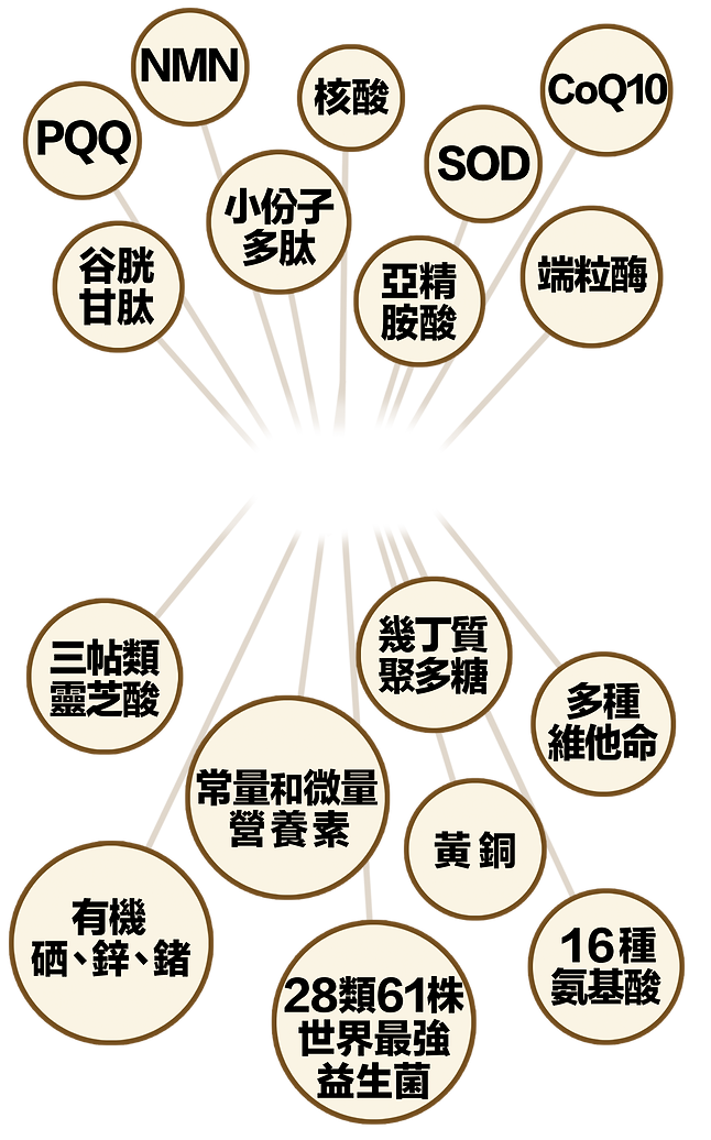靈芝王(Onepage)-18May22-02-01-009.png