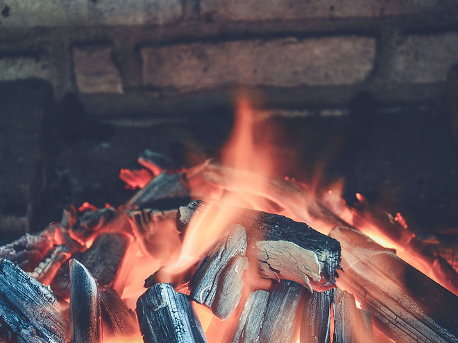 pexels-caio-59598 (1).jpg