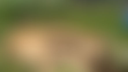 Potní chýše, super restart!