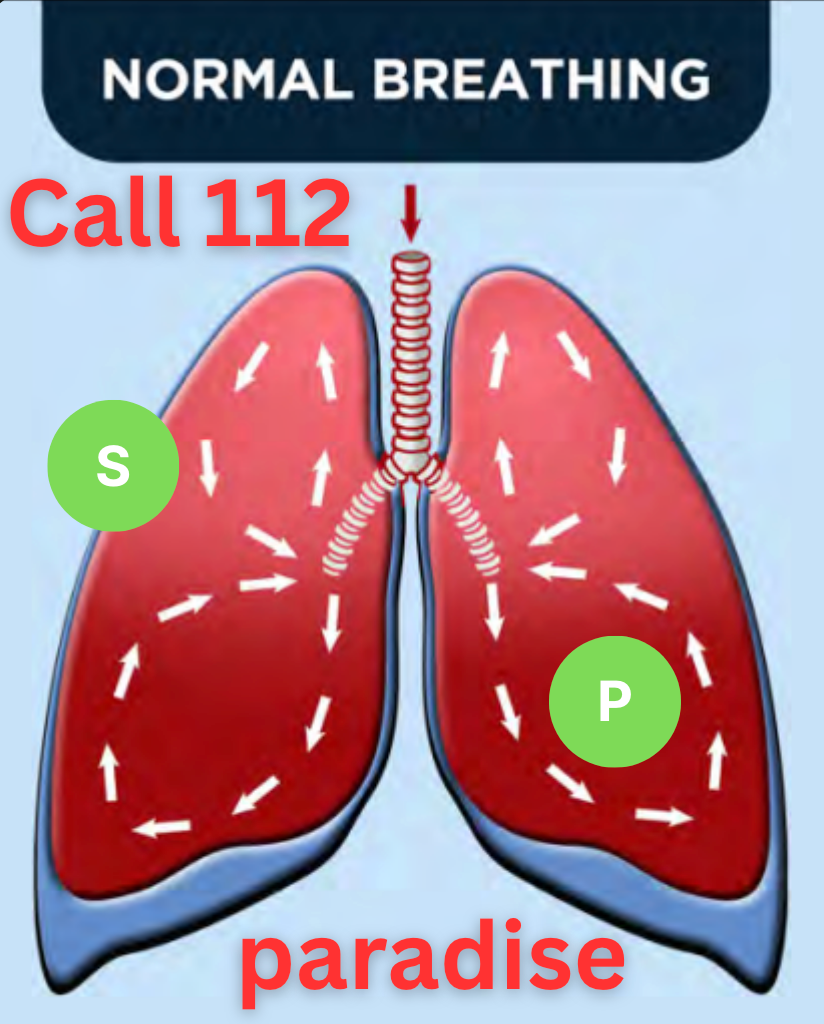 Jak dýchání ovlivňuje náš stres, jeduvlnu.cz