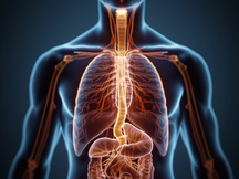 Jdu k šéfovi, mám strach. Nervus Vagus nás zachrání!