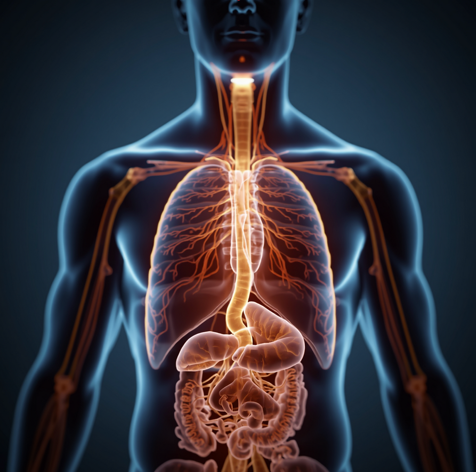 Jdu k šéfovi, mám strach. Nervus Vagus nás zachrání!