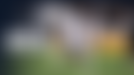 Conozcan al capitán de Panamá y mediocampista de San Diego FC Aníbal Godoy
