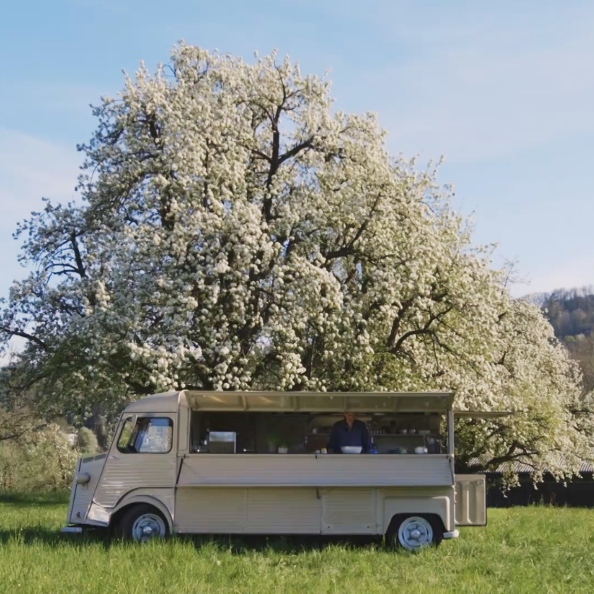 Hochstamm, Videoblog
