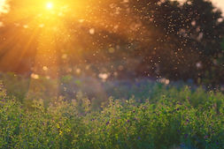 AdobeStock_86537041.jpeg